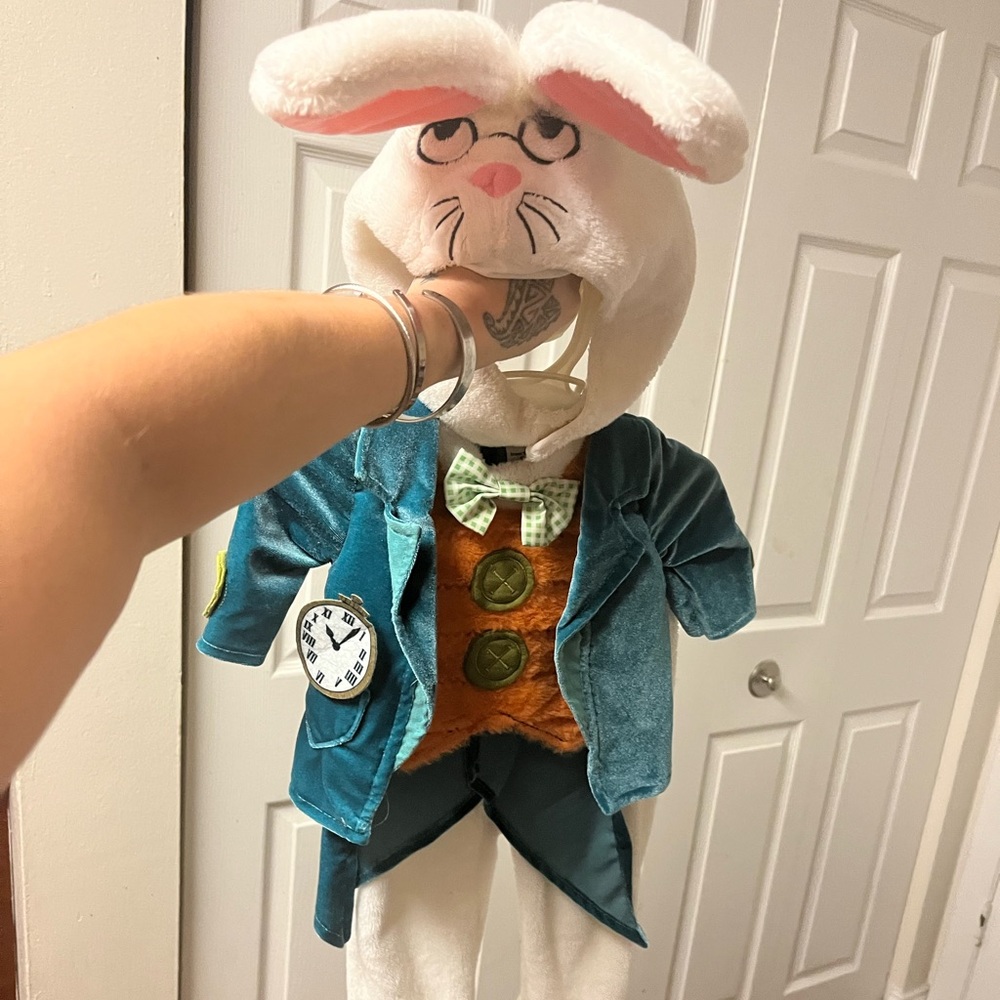 Suit, The White Rabbit Suit from Alice In Wonderland.